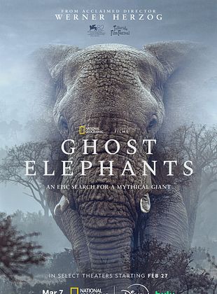 Ghost Elephants - Die Geister im Hochland Angolas