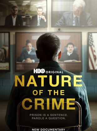  Nature Of The Crime