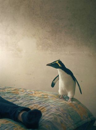 Filmposter von Tristan Forever