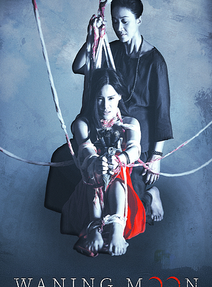 Filmposter von Waning Moon