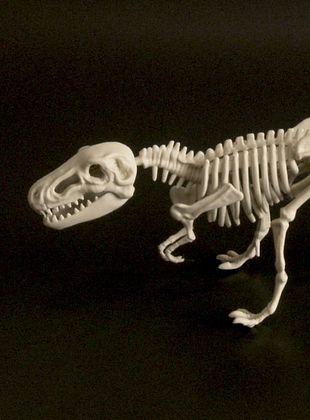 Filmposter von Little Boy