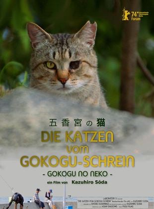  Die Katzen vom Gokogu-Schrein