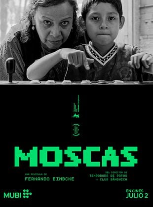 Filmposter von Flies