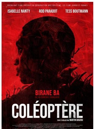  Coléoptère