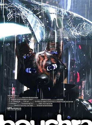 Filmposter von  Bouchra