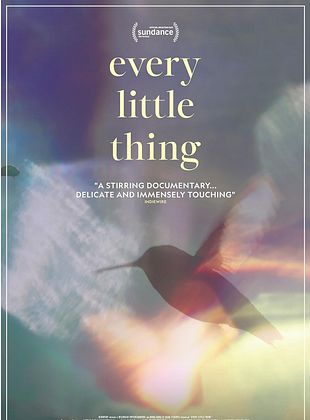  Every Little Thing