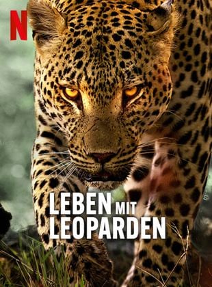  Leben mit Leoparden