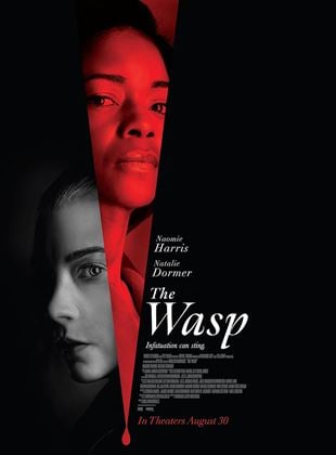  The Wasp