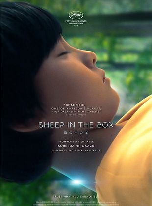 Filmposter von Sheep In The Box