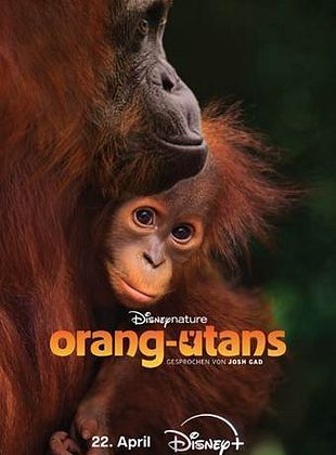 Filmposter von  Disneynature: Orang-Utans