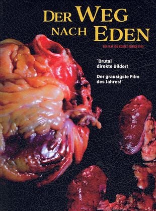 Filmposter von Der Weg nach Eden
