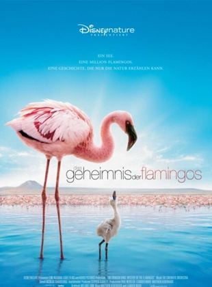  Das Geheimnis der Flamingos