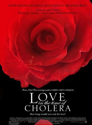  Die Liebe in den Zeiten der Cholera