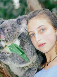 Koalas und andere Verwandte