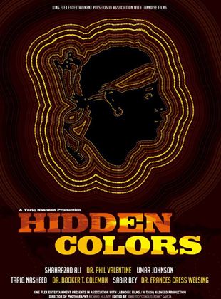 Hidden Colors