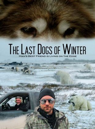  The Last Dogs of Winter