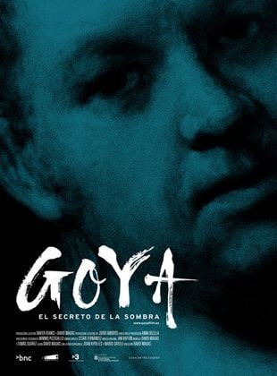 Goya, el secreto de la sombra