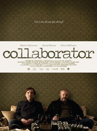  Collaborator