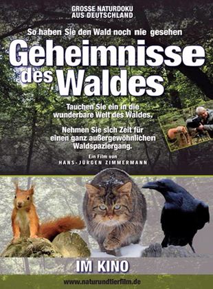 Geheimnisse des Waldes