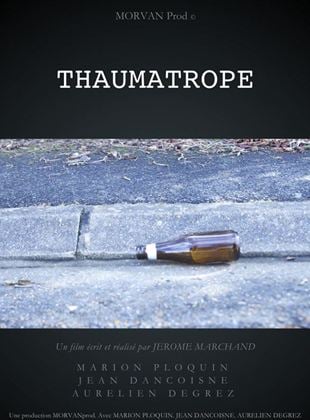 Thaumatrope