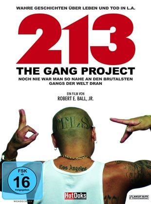 213 - The Gang Project