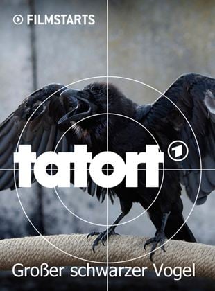  Tatort: Großer schwarzer Vogel