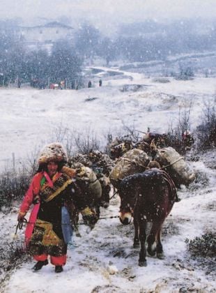 Filmposter von The Tea Road