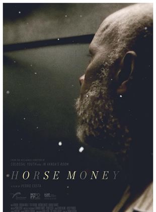 Horse Money