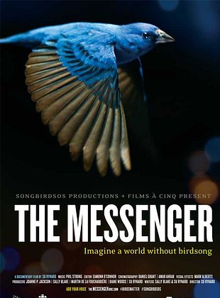 Filmposter von  The Messenger