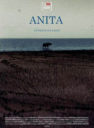 Filmposter von Anita