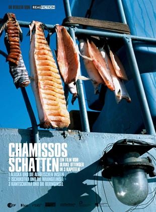  Chamissos Schatten: Kapitel 3 Kamtschatka und die Beringinsel