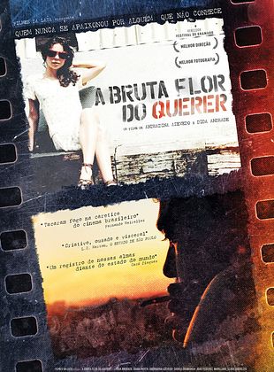 Filmposter von A Bruta Flor do Querer