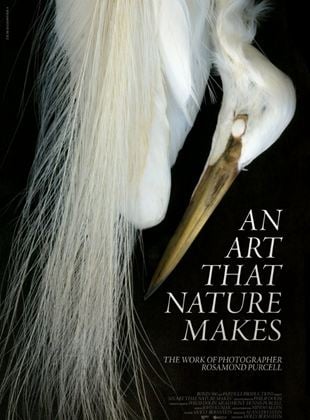  An Art That Nature Makes: The Work of Rosamond Purcell