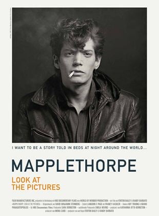  Mapplethorpe: Look At The Pictures
