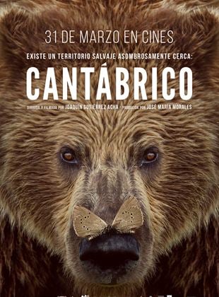 Cantábrico: Los dominios del oso pardo