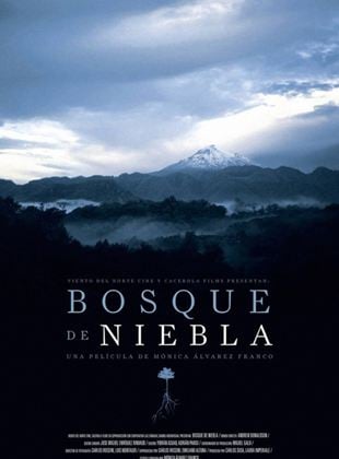 Bosque de Niebla