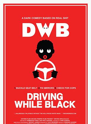  Driving While Black
