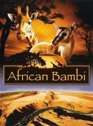  African Bambi