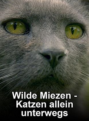 Wilde Miezen