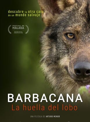 Barbacana, la huella del lobo