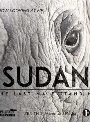 Sudan: The Last Male Standing