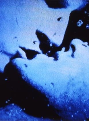 Self-Portrait in 23 Rounds: a Chapter in David Wojnarowicz's Life, 1989–1991