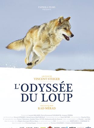 L'Odyssée du loup