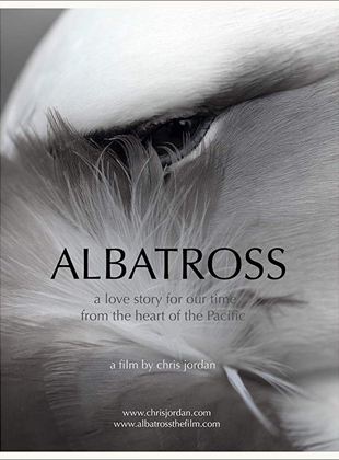 Albatross