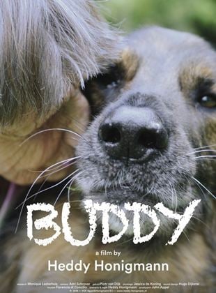  Buddy