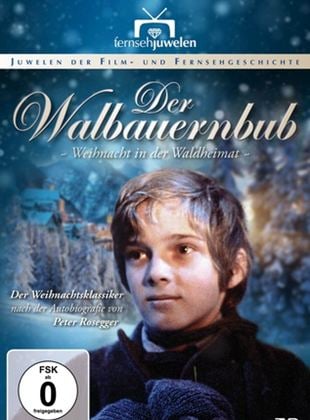 Der Waldbauernbub - Weihnacht in der Waldheimat