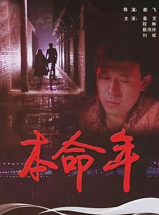 Filmposter von Schwarzer Schnee