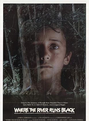 Filmposter von Der Junge vom schwarzen Fluß