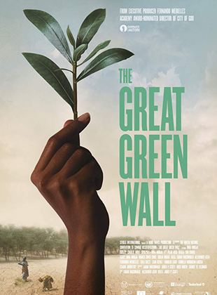  The Great Green Wall