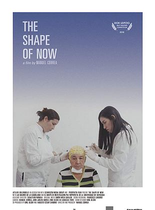 Filmposter von The Shape of Now